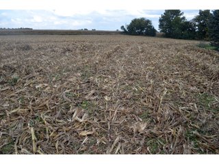Property photo 42 - EHLE FARMS AUCTION - 118+/- ACRES IN 9 TRACTS IN ALLEN COUNTY, INDIANA